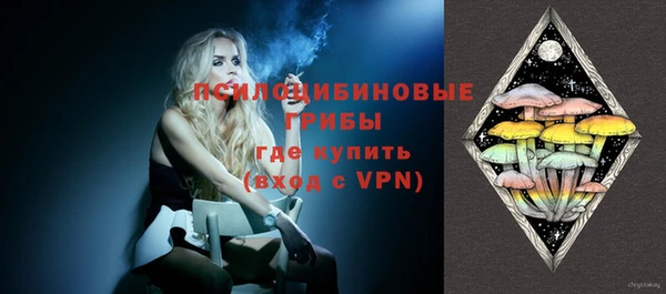 прущие грибы Нягань