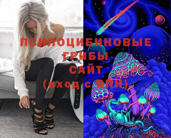 прущие грибы Нягань